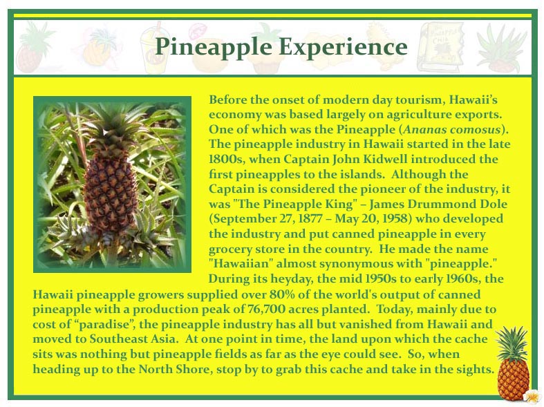Pineapple Experience-history