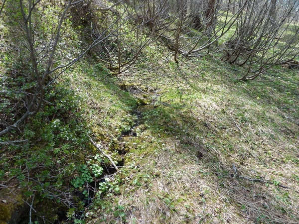 Die Quelle des Weißenbach