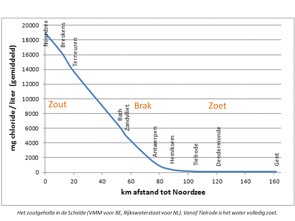 Het zoutgehalte in de Schelde daalt geleidelijk vanaf de Noordzee en wordt ongeveer 0 bij Tielrode