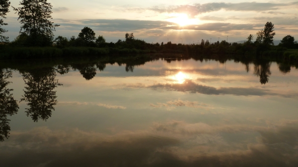 pond sunset - photo by zelvik
