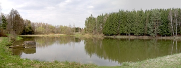 Pohled na rybník Žabka