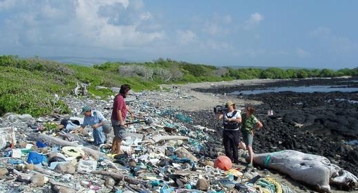 praiacom lixo