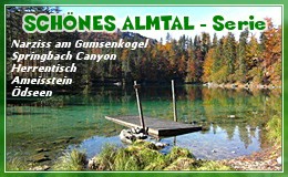 Banner: Schönes Almtal - Serie