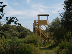 Torre de Observação