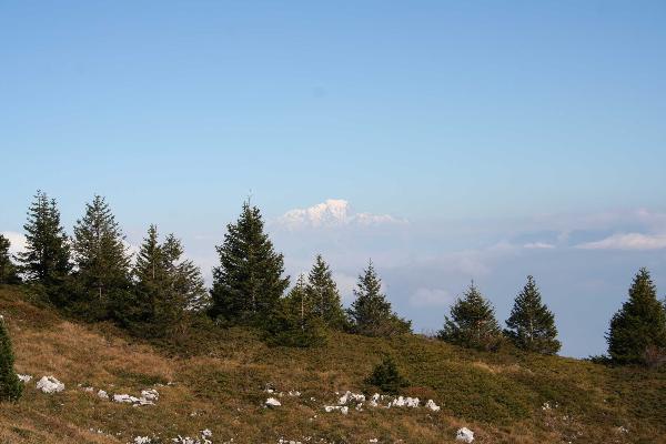 Le Mont Granier3.JPG (290024 octets)