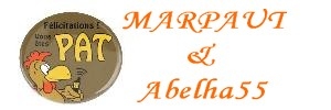 PAT Marpeau et Abelha55