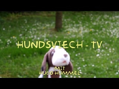 Hundsviech - TV