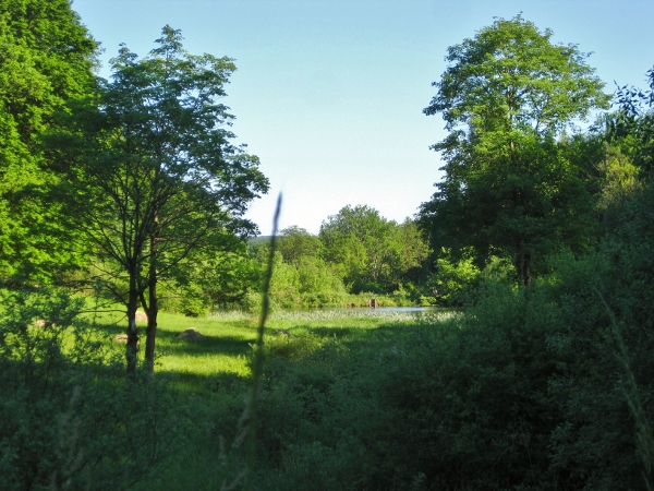 Veltensweiher im Mai 2012