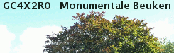 Monumentale beuken (GC4X2R0)