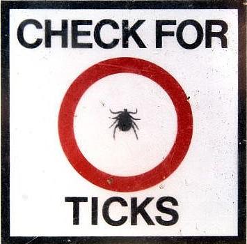 Prevent Lyme Disease