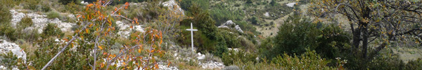 Croix de la chapelle / Cross of the chapel