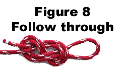 figure 8 Follow Through Knot