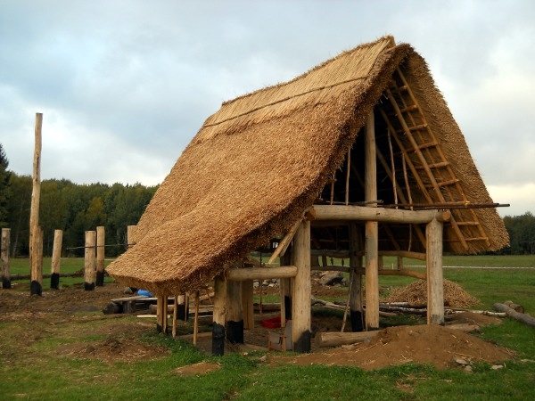 Keltská vesnice ve výstavbě