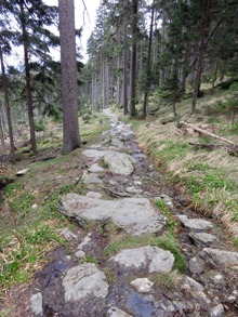 Kamenný chodník z Ostrého