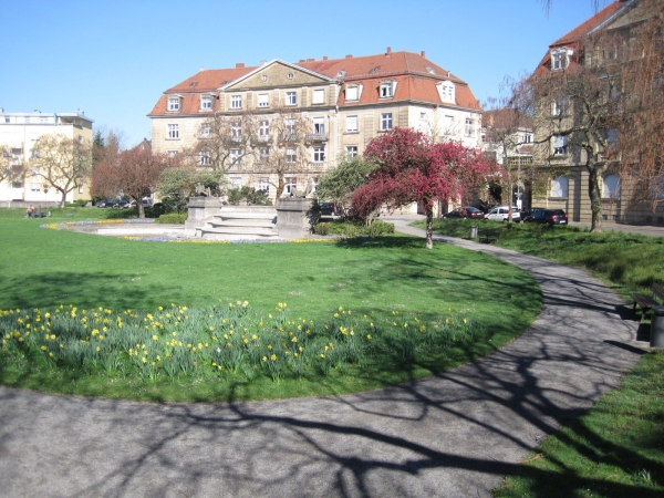 Frühling am Haydnplatz