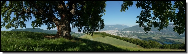 Le Vieux Chêne, Grenoble et le Vercors