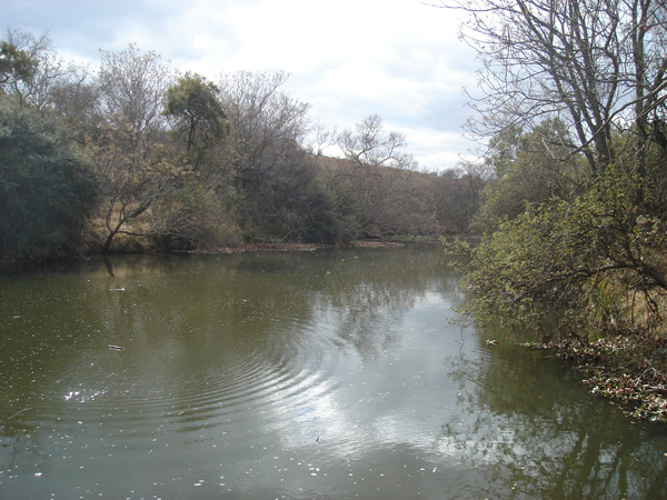 Crocodile River with Ripples