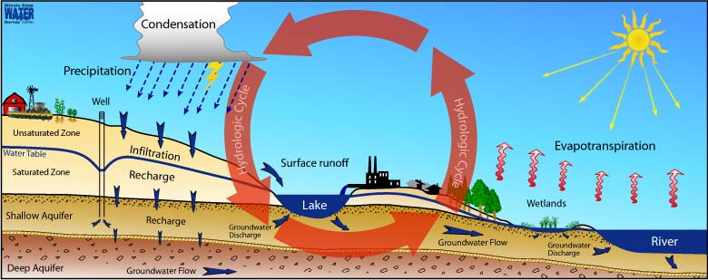 water cycle steps for kids. Picture of Water cycle