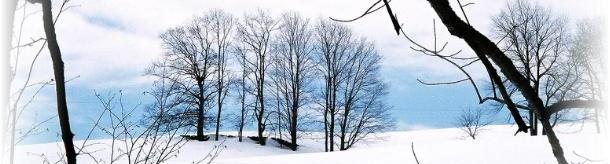 Click to enjoy a winter landscape.