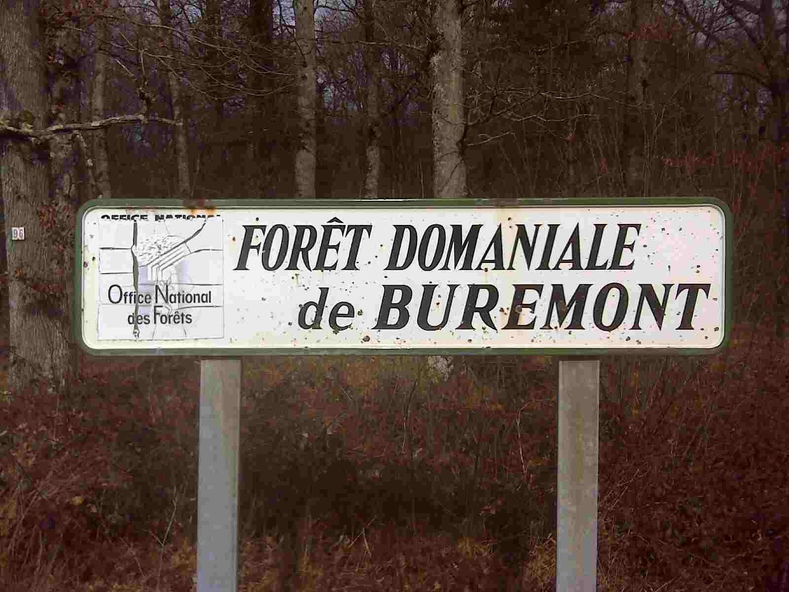 Forêt Domaniale de Buremont