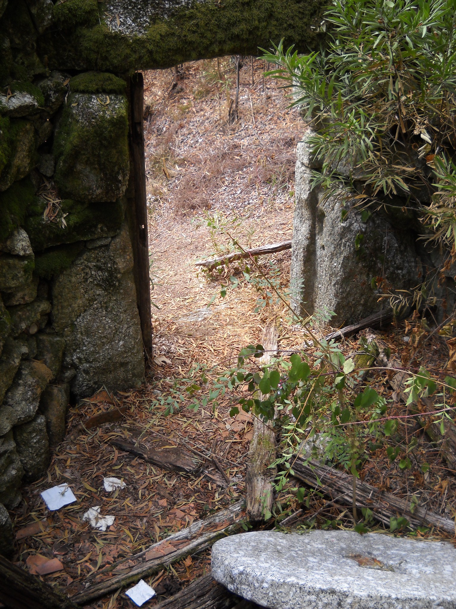 A cache está guardada no interior deste moínho em ruínas