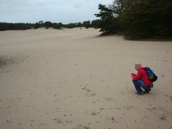 Soester dunes picture