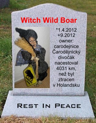 Witch Wild Boar