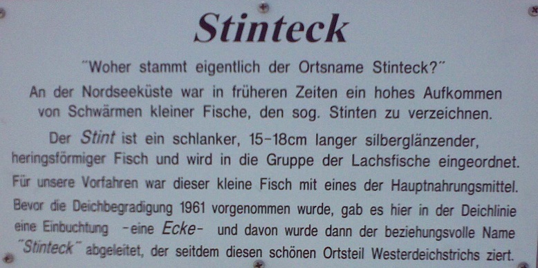Stinteck