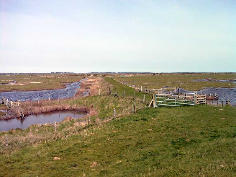 Old Hall Marshes