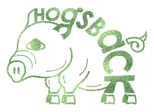 Hogs Back Falls Letterbox Stamp (c)2011 A. Liptak