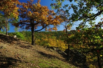 Vyhlídka Kozí bouda - jeden ze skalních výchozů nad Berounkou