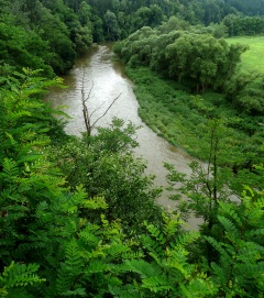 Stará řeka