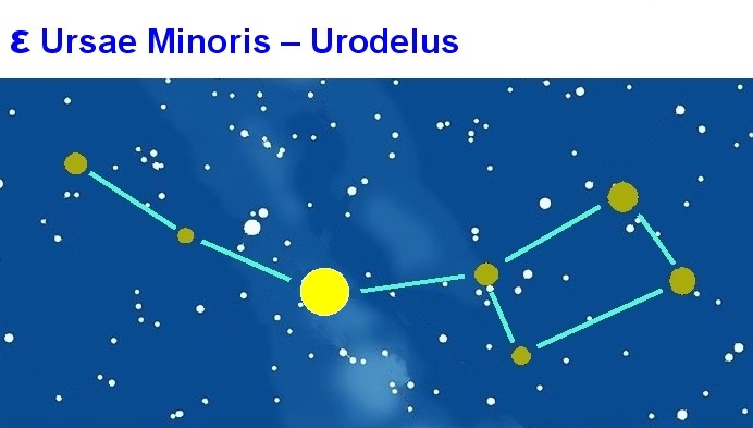 UMi Urodelus