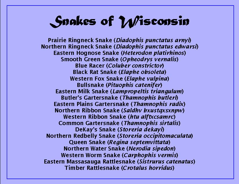Snakes of WI