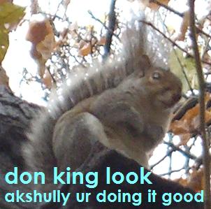 [ image: don king look - akshully ur doin it good ]