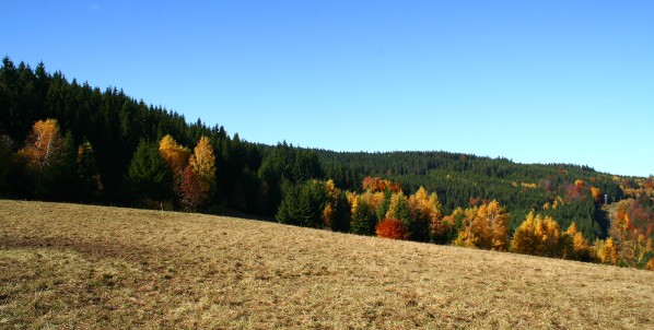Podzimní pastviny na Paštěcké Pasece