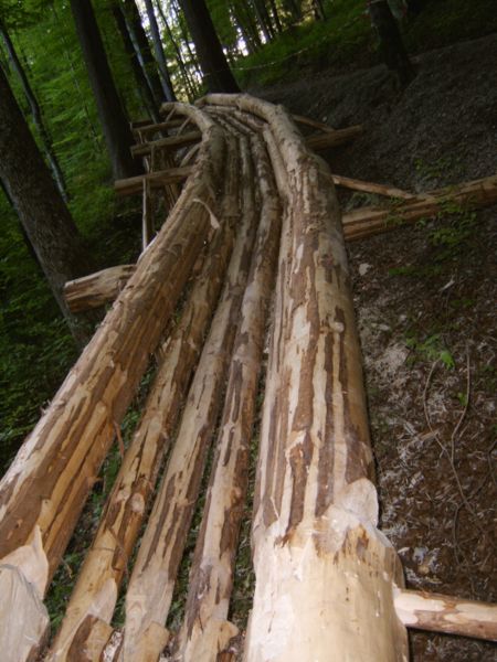Holzriese