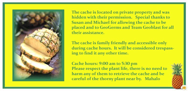 Pineapple Experience-cache