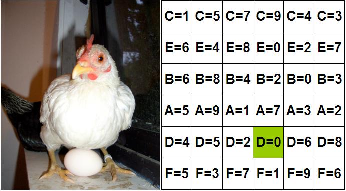 DoDo 37 - Das Huhn