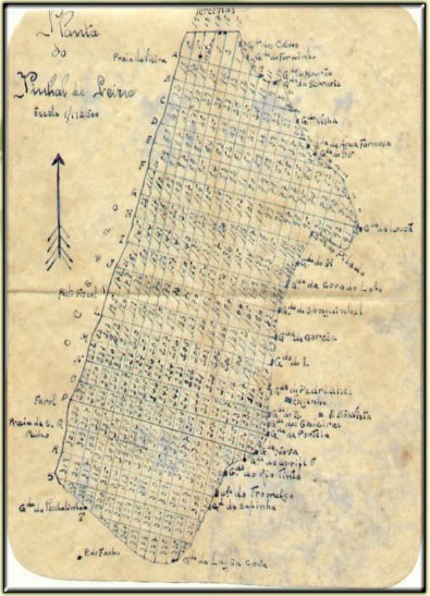 Mapa do Pinhal de Leiria