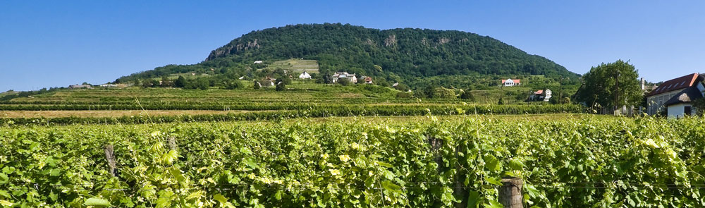 Badacsony Wine Region
