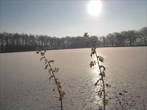 Der Weddelbrooker See im Winter