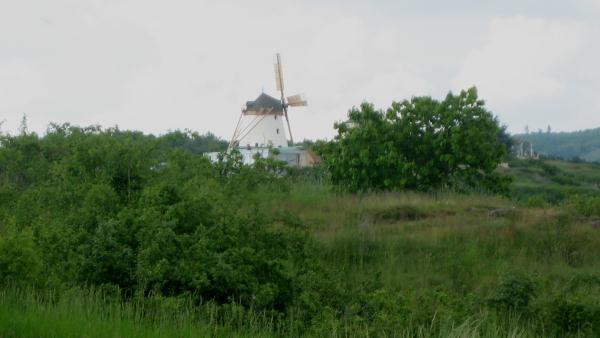 Blick zur Windmühle