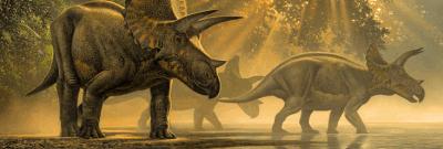 Triceratopsi v bazine