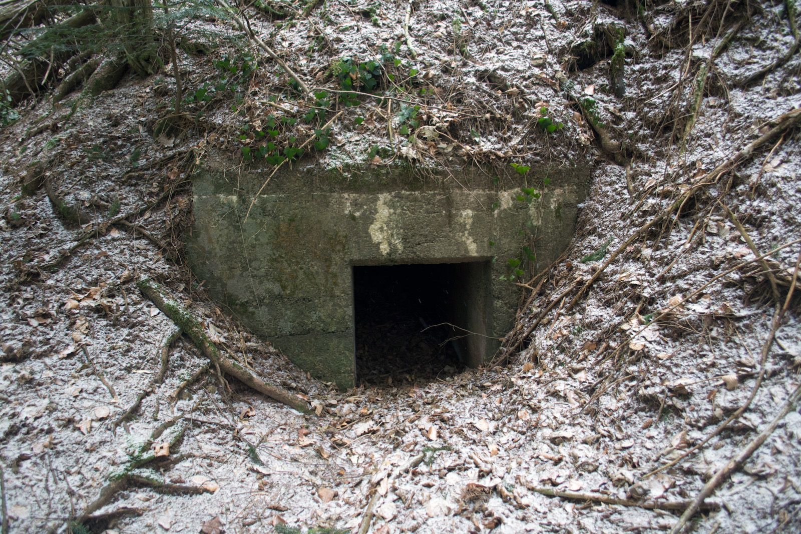 Bunker du Soultzbach