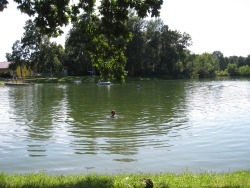 Liebmannsee