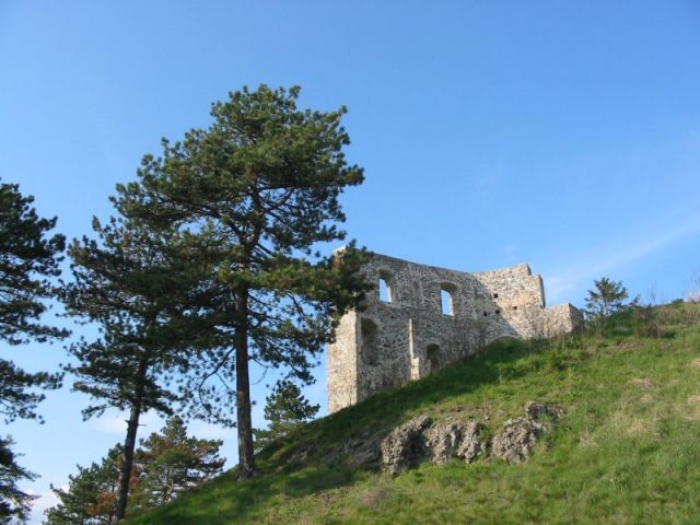Ruina hradu Dobra Niva