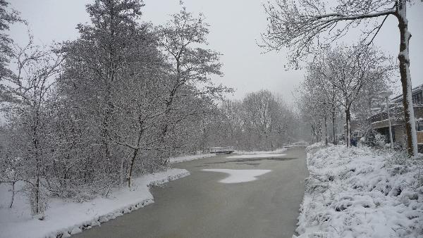 Winterlandschap van het Groene Hart Park