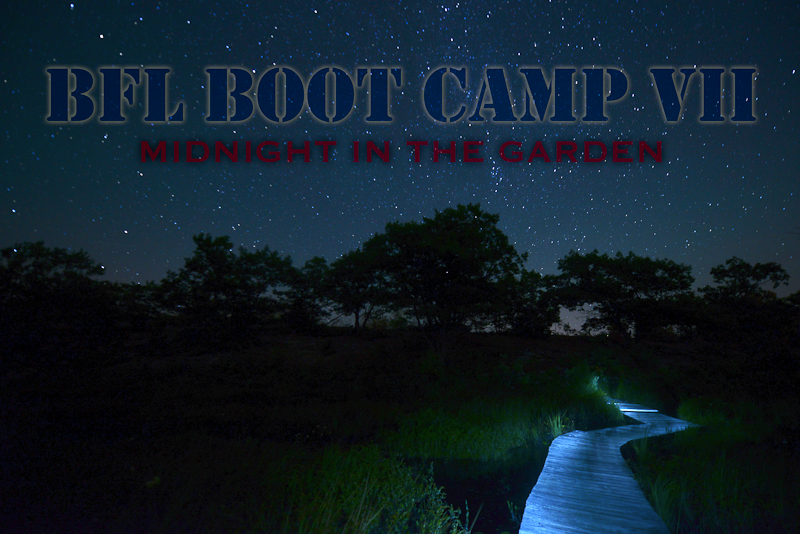 BFL Boot Camp 7 - Midnight in the Garden