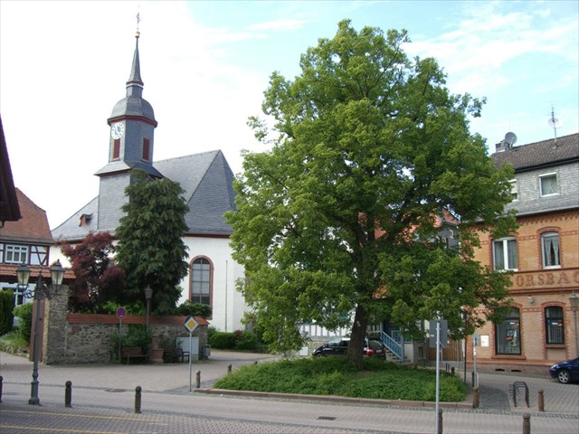 Zimmerplatz und Schillerlinde in Lorsbach